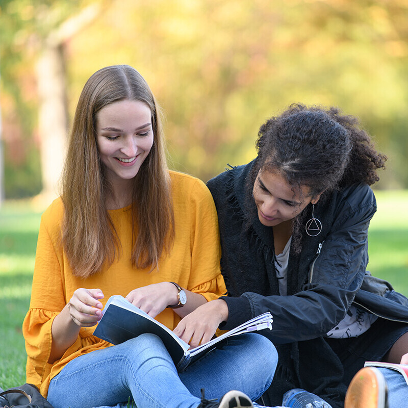 Drei Studierende sitzen mit ihren Büchern auf einer Wiese.