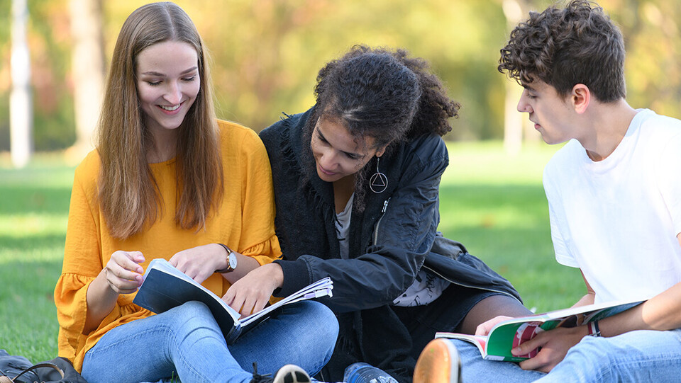 Drei Studierende sitzen mit ihren Büchern auf einer Wiese.