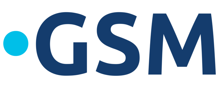 Logo des Global Sustainability Management Programs, jeweils die Anfangsbuchstaben in Blau