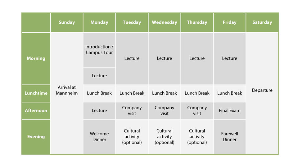 Mannheim business school semester dates