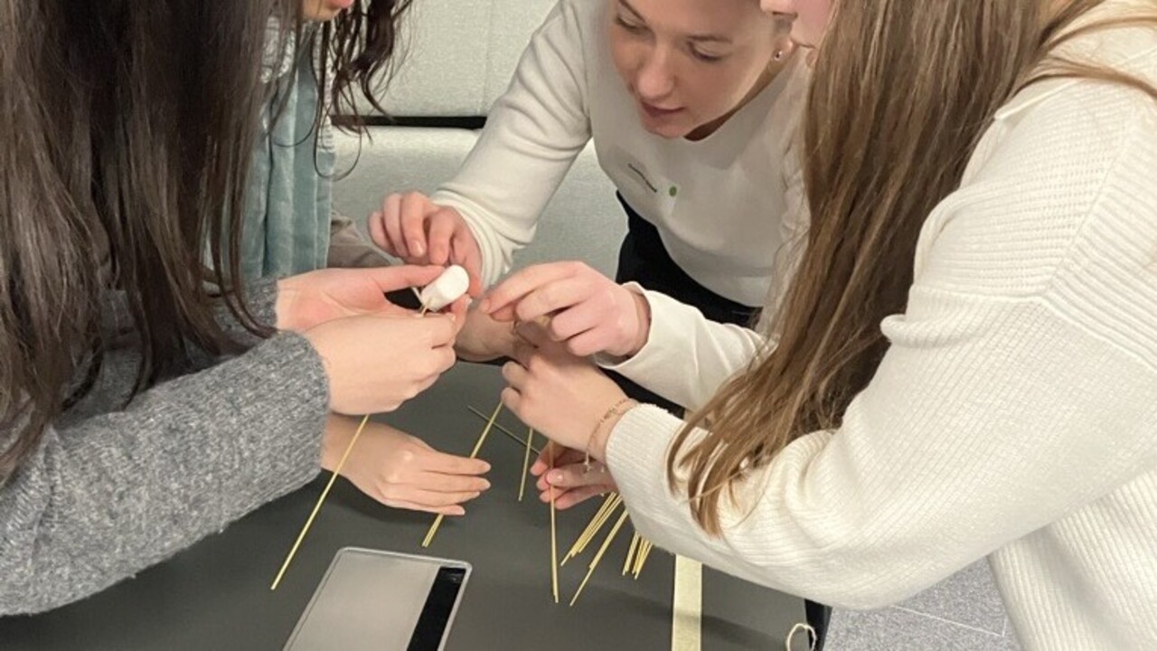 Personen beugen sich über ein Konstrukt aus langen Stäben.