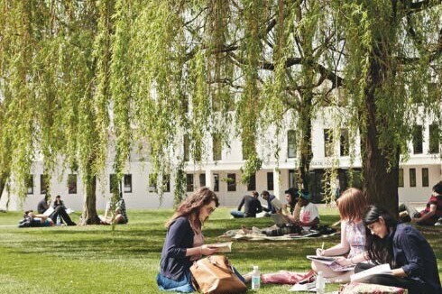 Studierende auf der Wiese
