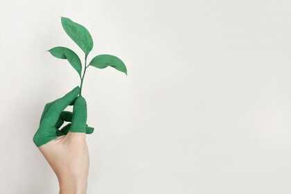 Hand, die zur Hälfte grün angemalt ist und einen grünen Pflanzenzweig hält
